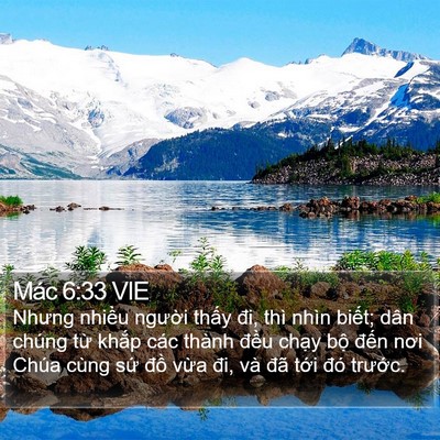 Mác 6:33 VIE Bible Verse Image