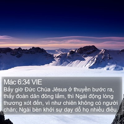 Mác 6:34 VIE Bible Verse Image