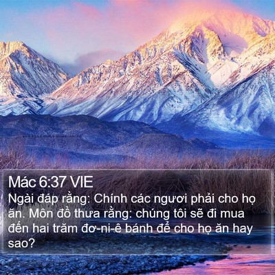 Mác 6:37 VIE Bible Verse Image