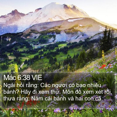 Mác 6:38 VIE Bible Verse Image