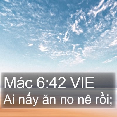 Mác 6:42 VIE Bible Verse Image