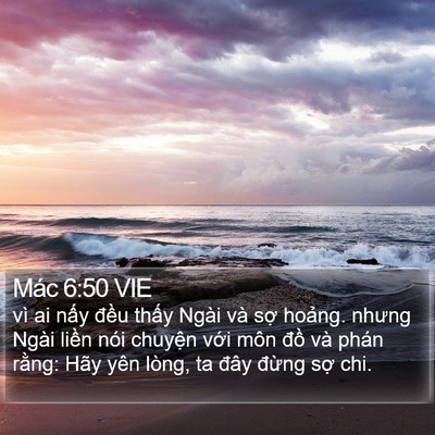 Mác 6:50 VIE Bible Verse Image