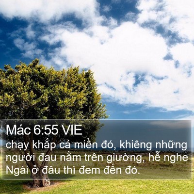 Mác 6:55 VIE Bible Verse Image