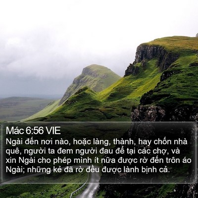 Mác 6:56 VIE Bible Verse Image