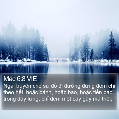 Mác 6:8 VIE Bible Verse Image