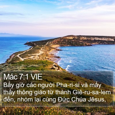 Mác 7:1 VIE Bible Verse Image