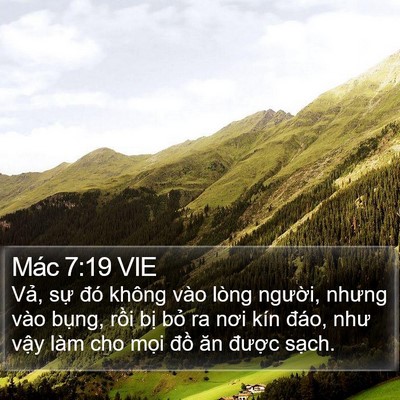 Mác 7:19 VIE Bible Verse Image