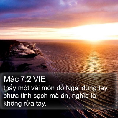 Mác 7:2 VIE Bible Verse Image
