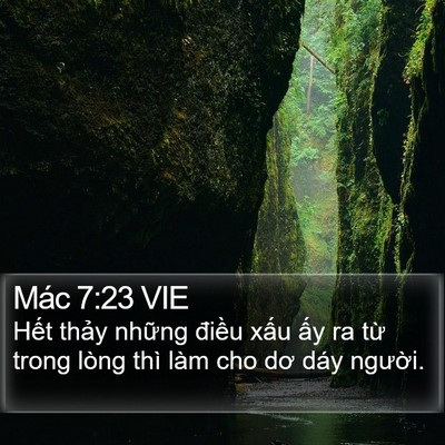 Mác 7:23 VIE Bible Verse Image