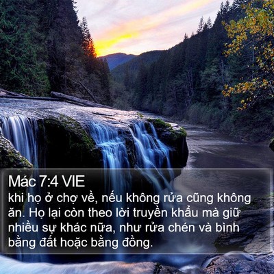 Mác 7:4 VIE Bible Verse Image