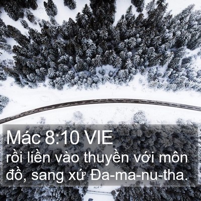 Mác 8:10 VIE Bible Verse Image