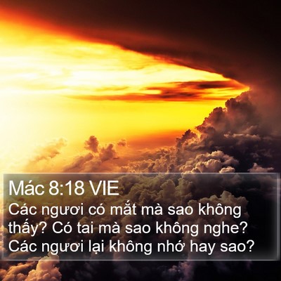 Mác 8:18 VIE Bible Verse Image