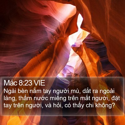 Mác 8:23 VIE Bible Verse Image