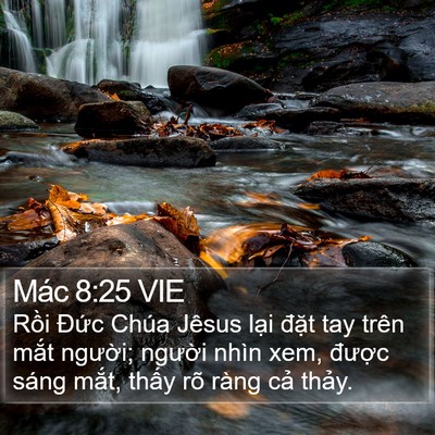 Mác 8:25 VIE Bible Verse Image