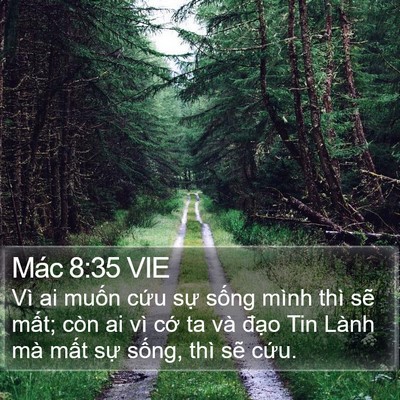 Mác 8:35 VIE Bible Verse Image