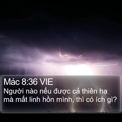 Mác 8:36 VIE Bible Verse Image