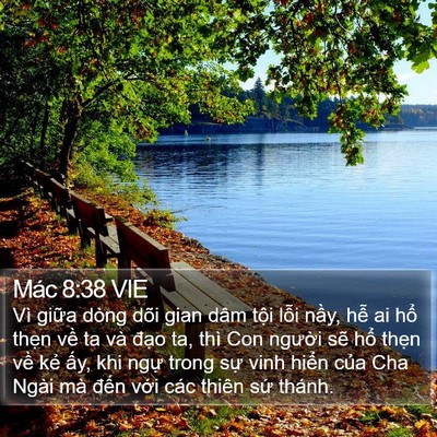 Mác 8:38 VIE Bible Verse Image