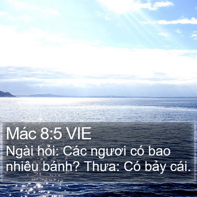 Mác 8:5 VIE Bible Verse Image