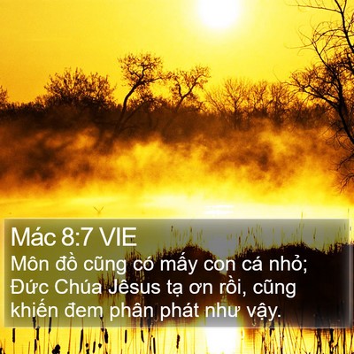 Mác 8:7 VIE Bible Verse Image