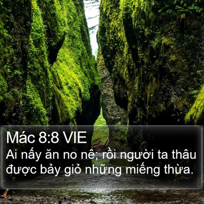 Mác 8:8 VIE Bible Verse Image