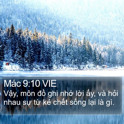 Mác 9:10 VIE Bible Verse Image