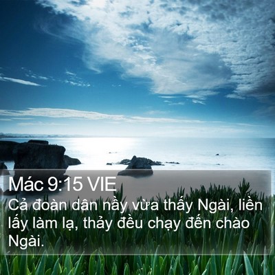 Mác 9:15 VIE Bible Verse Image