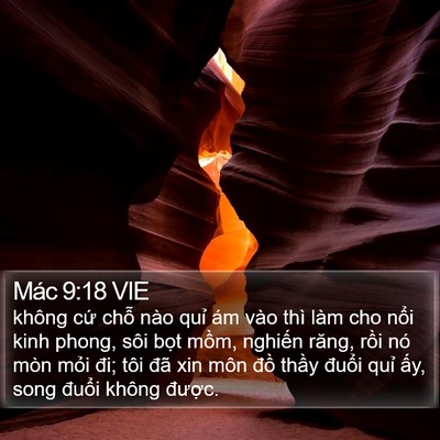 Mác 9:18 VIE Bible Verse Image
