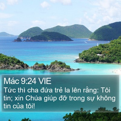 Mác 9:24 VIE Bible Verse Image
