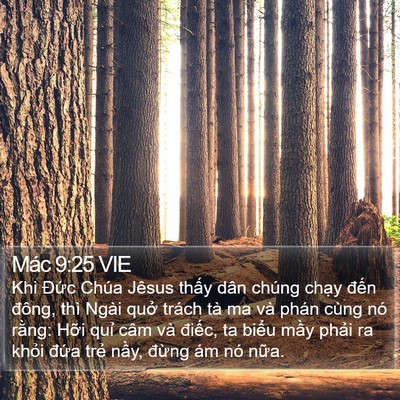 Mác 9:25 VIE Bible Verse Image