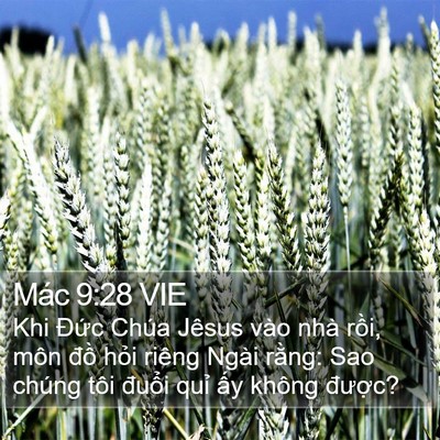 Mác 9:28 VIE Bible Verse Image