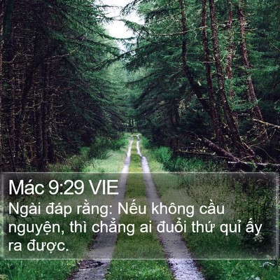 Mác 9:29 VIE Bible Verse Image
