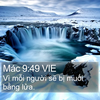Mác 9:49 VIE Bible Verse Image