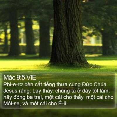 Mác 9:5 VIE Bible Verse Image