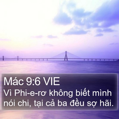 Mác 9:6 VIE Bible Verse Image