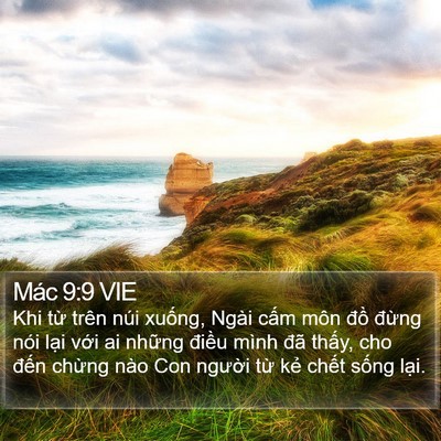 Mác 9:9 VIE Bible Verse Image