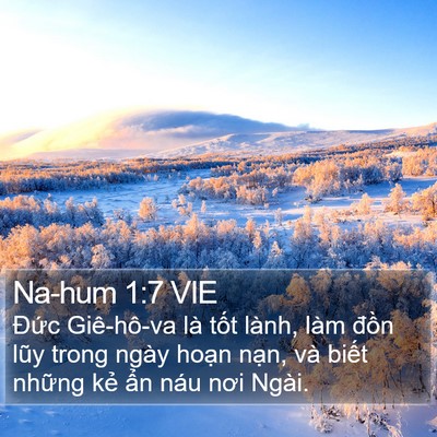 Na-hum 1:7 VIE Bible Verse Image