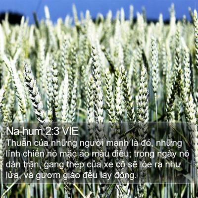 Na-hum 2:3 VIE Bible Verse Image
