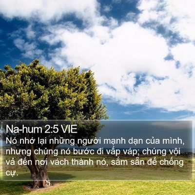 Na-hum 2:5 VIE Bible Verse Image