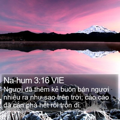 Na-hum 3:16 VIE Bible Verse Image