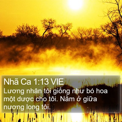 Nhã Ca 1:13 VIE Bible Verse Image