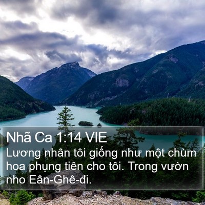 Nhã Ca 1:14 VIE Bible Verse Image