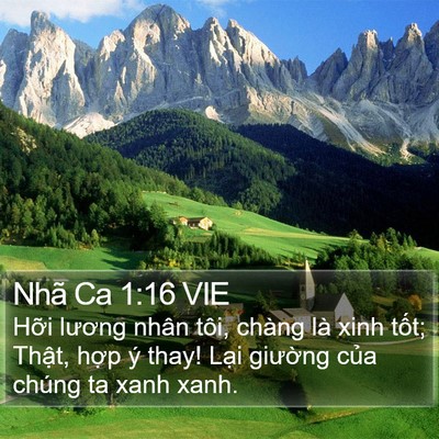Nhã Ca 1:16 VIE Bible Verse Image
