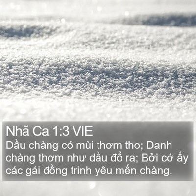 Nhã Ca 1:3 VIE Bible Verse Image