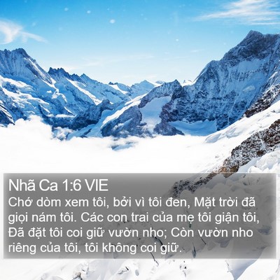 Nhã Ca 1:6 VIE Bible Verse Image
