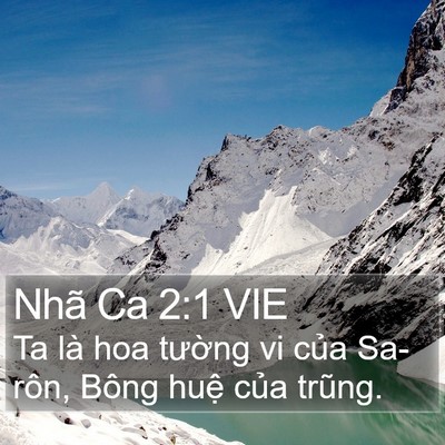 Nhã Ca 2:1 VIE Bible Verse Image