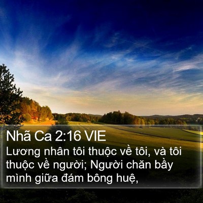 Nhã Ca 2:16 VIE Bible Verse Image