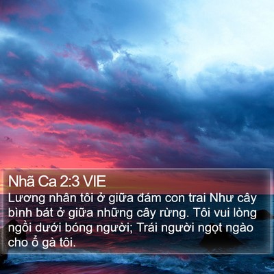 Nhã Ca 2:3 VIE Bible Verse Image