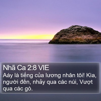 Nhã Ca 2:8 VIE Bible Verse Image