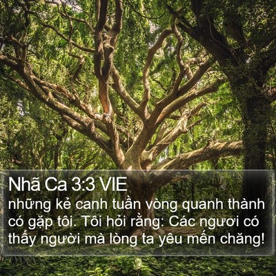 Nhã Ca 3:3 VIE Bible Verse Image
