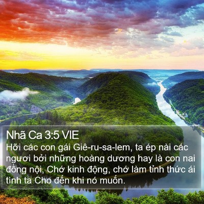 Nhã Ca 3:5 VIE Bible Verse Image
